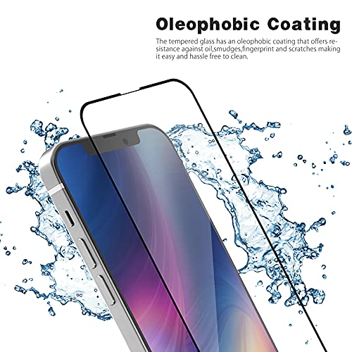 IPHONE 13 MAX 5D GLASS